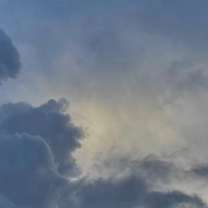 正在播放国产操熟女
