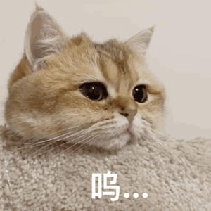 正在播放国产操熟女
